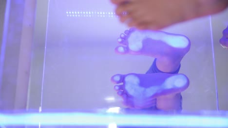 feet being scanned or measured with blue light through a transparent surface