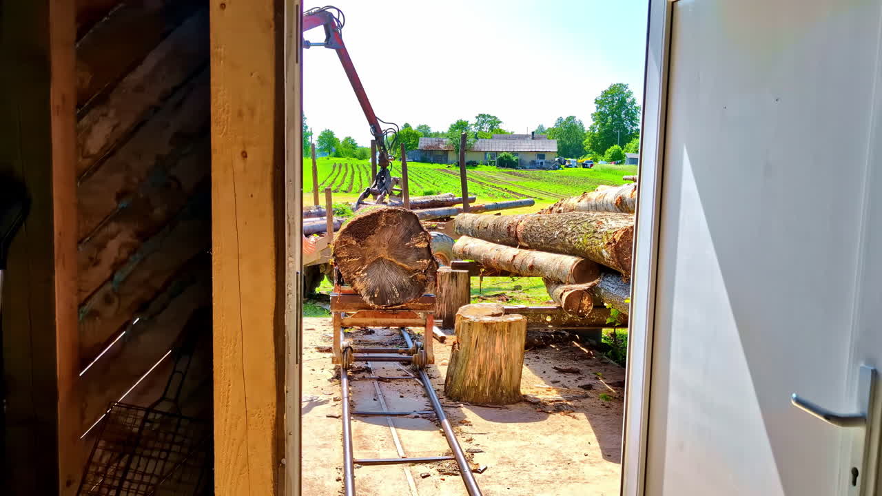 Large logs outside sawmill being prepared for cutting and processing