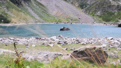 nahaufnahme von getreidestöcken und einem blauen, ruhigen see im hintergrund