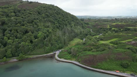 Lough-hyne-and-surrounding-greenery,-ireland,-with-overcast-skies,-aerial-view