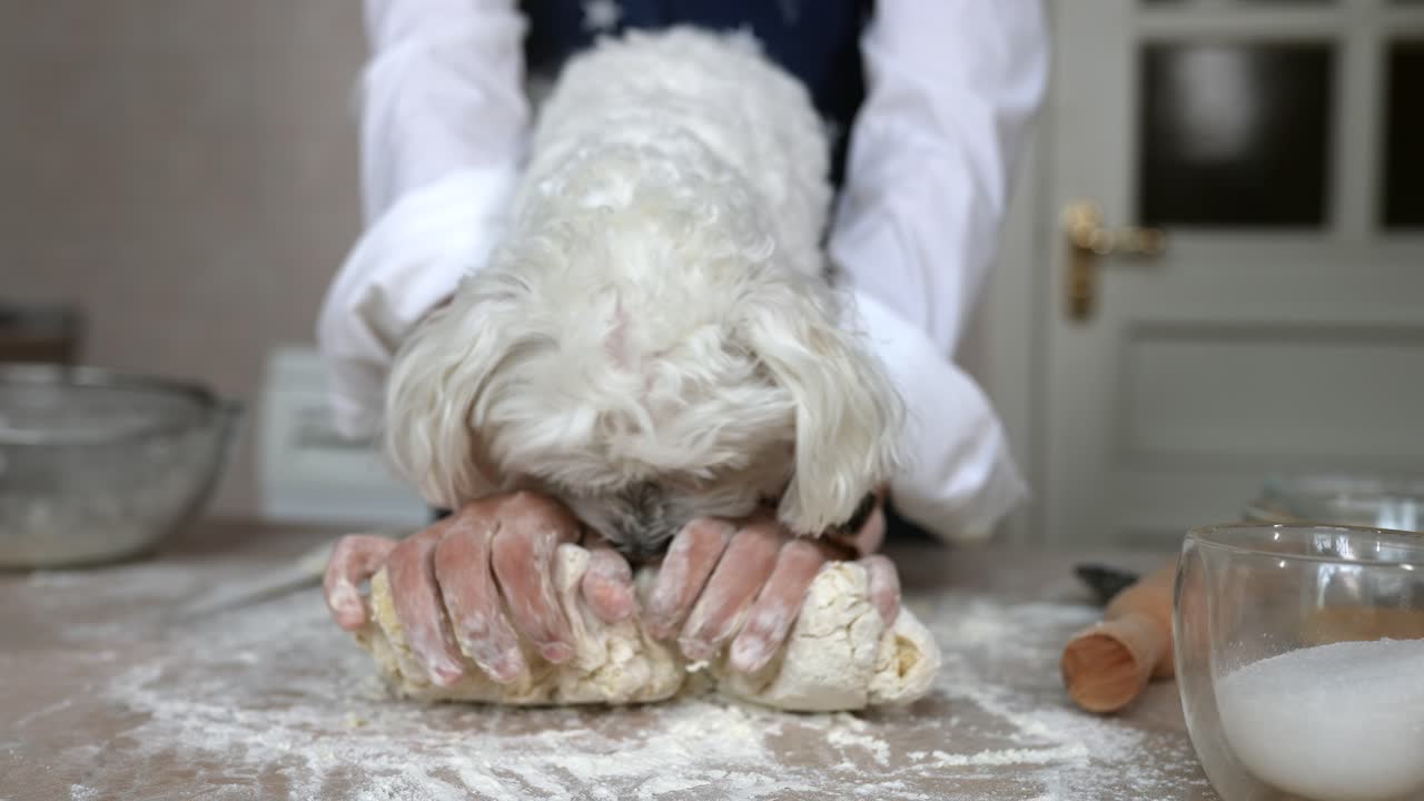 베이킹을 도와주는 개