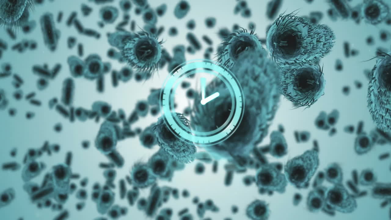 세포 위로 이동하는 시계의 애니메이션