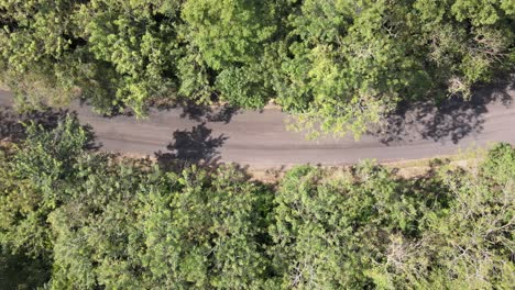 ciclismo de ruta por la selva