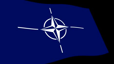 nato (north atlantic treaty organization) flag slow waving in perspective, animation 4k footage