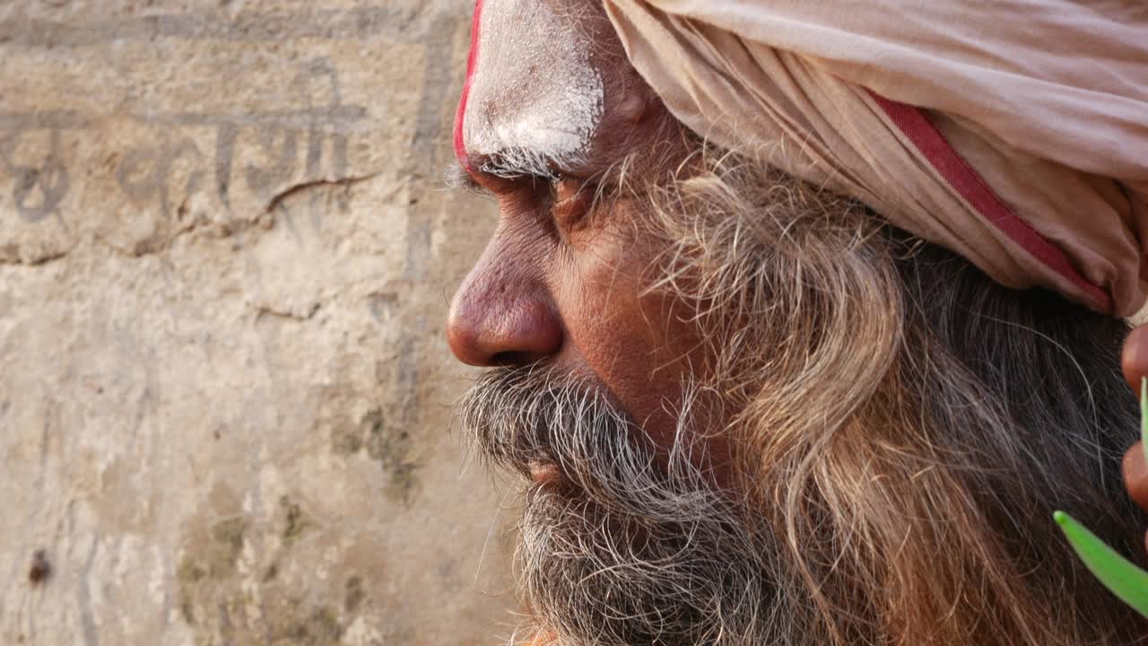 el retrato de un santo sadhu indio