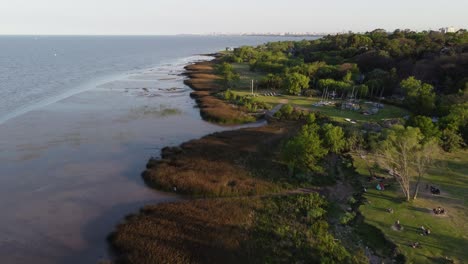 aerial forward over green shore of rio de la plata river in buenos aires, argentina