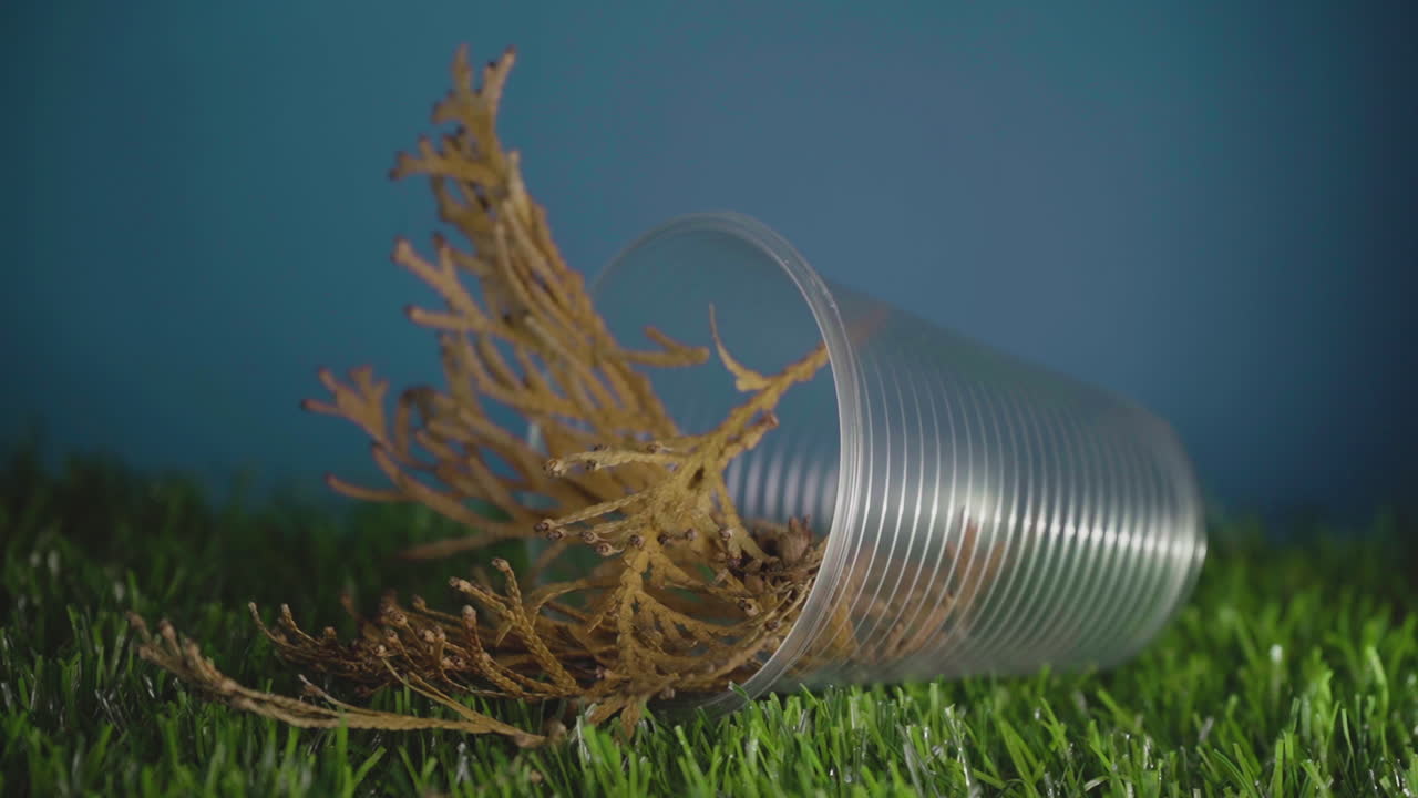 강하고 건강한 녹색 살아있는 식물을 가진 생분해성 냄비