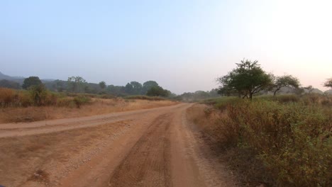 jeep safari tours india. ranthambore national park sawai madhopur rajasthan india