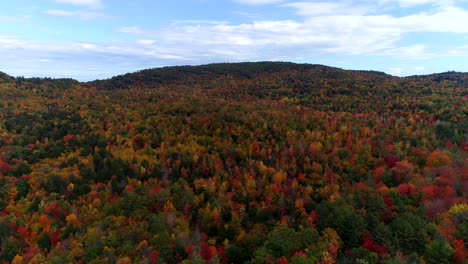 Un-Dron-Aéreo-De-Movimiento-Lento-Disparó-Sobre-Un-Bosque-De-Coloridos-álamos