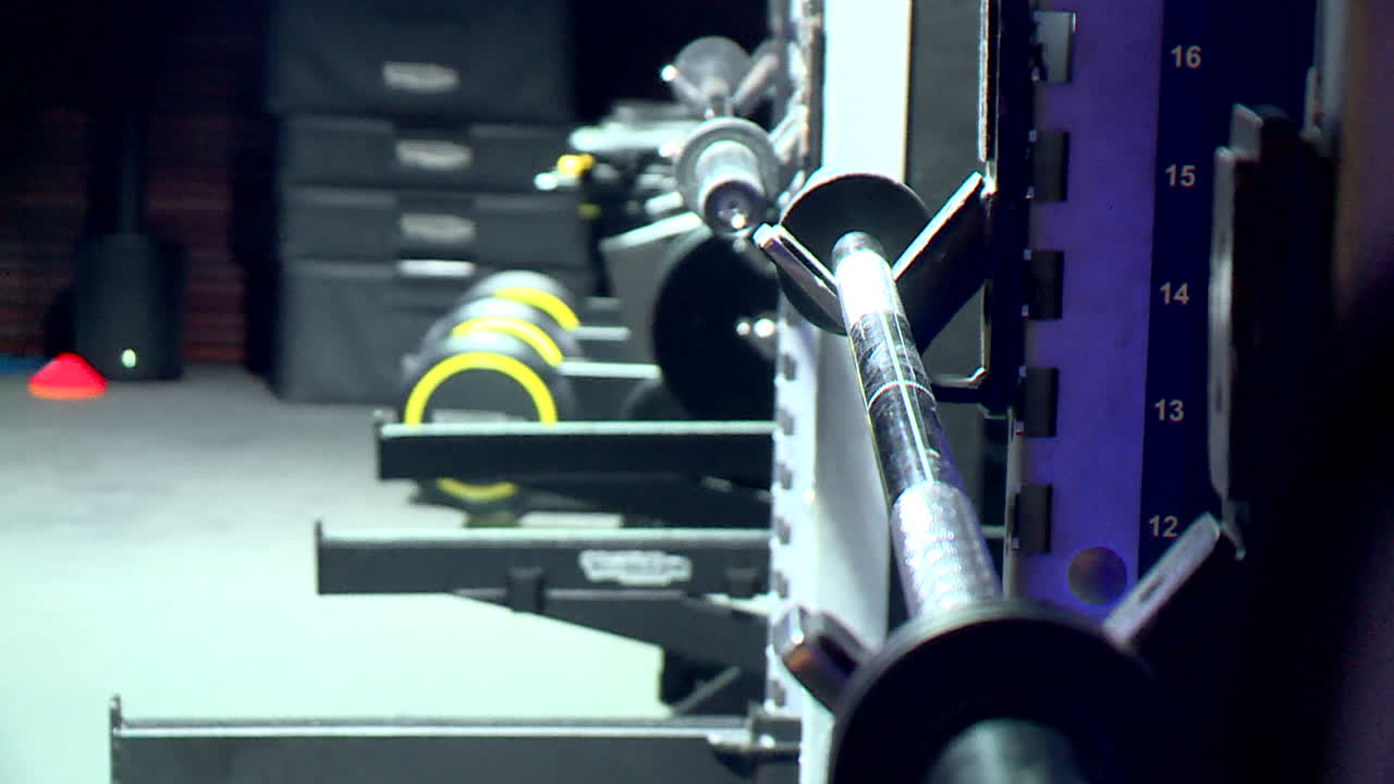 Home Gym with Barbells and Weights