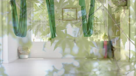 animation of green leaves over sunny aerial yoga exercise room