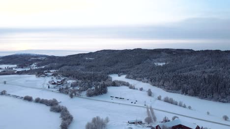 Durchqueren-Sie-Den-Bezaubernden,-Schneebedeckten-Wald,-In-Dem-Jeder-Ast-Zart-Mit-Einer-Unberührten-Schneeschicht-Geschmückt-Ist-Und-Eine-Magische-Atmosphäre-Schafft,-Die-Sie-In-Ein-Reich-Der-Ruhe-Entführt