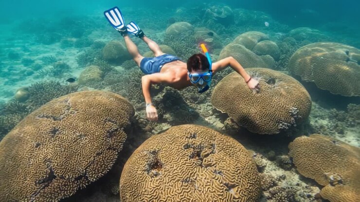 Esplorando le meraviglie sottomarine: un subacqueo con maschera e boccaglio scivola su vivaci barriere coralline, catturando l'essenza della bellezza marina e dell'avventura in uno splendido paesaggio acquatico.