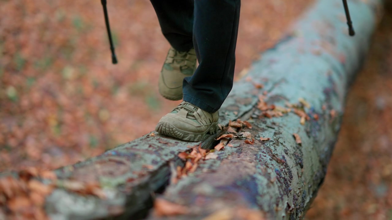 Primo piano dei piedi di un escursionista che camminano su un tronco caduto in una foresta autunnale