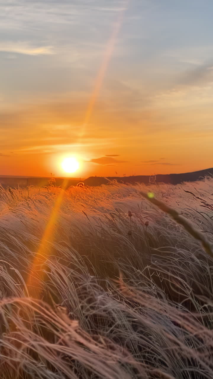 Sunrise/Sunset over a Field of Grass