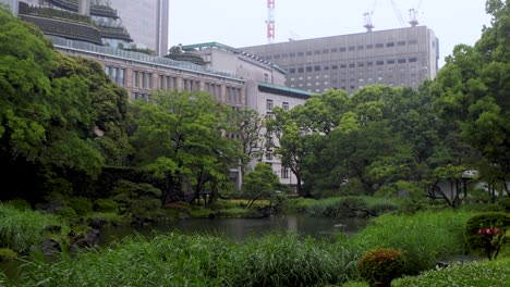 the best view in tokyo