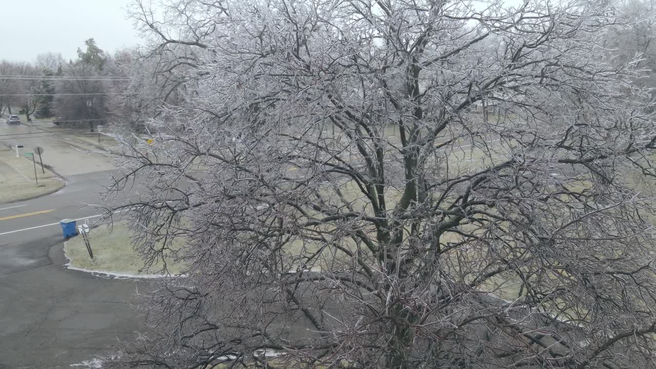 미국 에 있는 나무 들 이 얼음 폭풍 을 겪은 후, 공중  ⁇ 도 관측