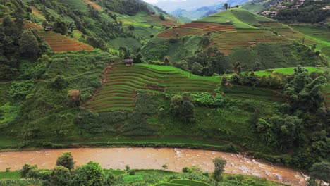 panoramic view of lush green terraced rice fields in a mountain valley with a river below