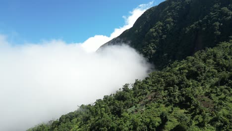 el dron vuela cerca del bosque verde paisajístico de la selva tropical en el lago volcánico de anjouan, islas comoros.