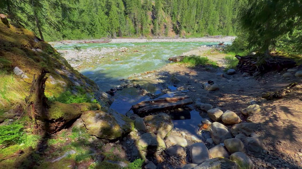 Smukke naturoptagelser med en termisk pool omgivet af klipper, en strømmende flod og tårnhøje stedsegrønne træer, der indfanger roen ved Halfway Hot Springs i British Columbia