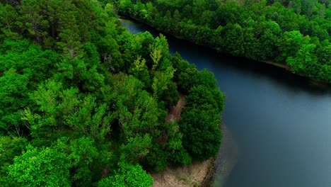 Volando-Sobre-El-Bosque-De-árboles-Verdes-Junto-Al-Río