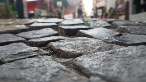 close-up view of cobblestone street in a historic city