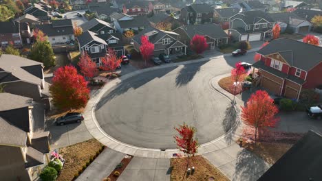 Aerial-view-of-a-cul-de-sac-with-trees-full-of-red-Autumn-leaves