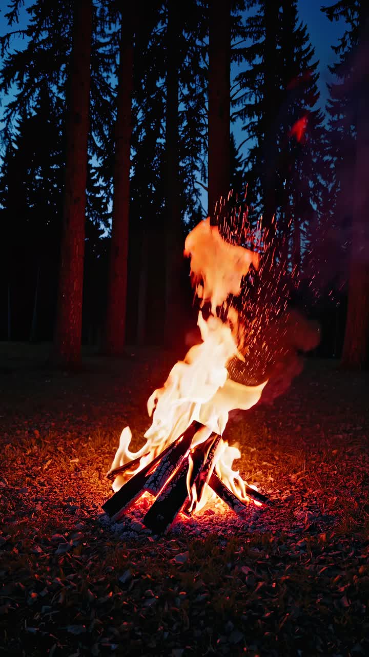 Low-angle shot of a campfire in a forest at dusk, capturing dynamic flames and sparks