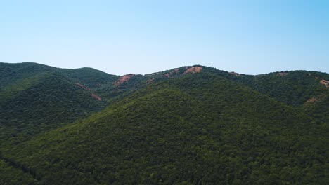 산악 숲 풍경