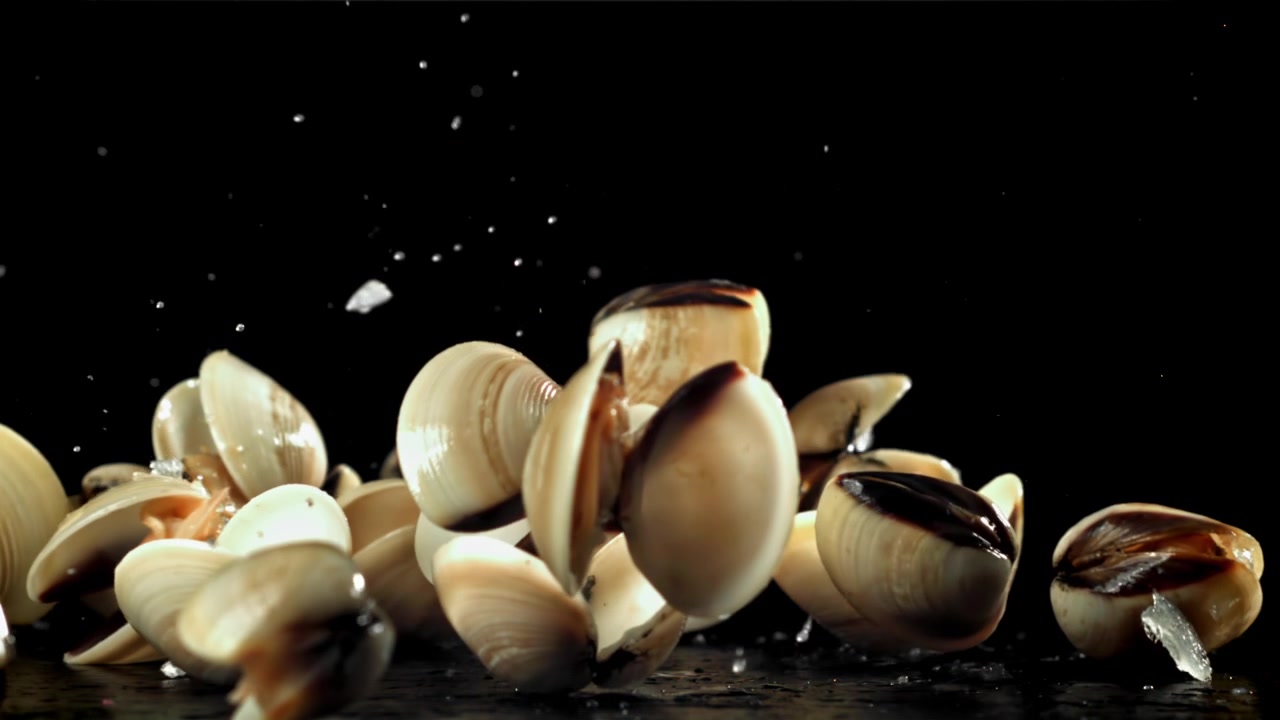 Vongole fresche che cadono e schizzano al rallentatore.