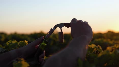 hands opening wine bottle in vineyard sunset