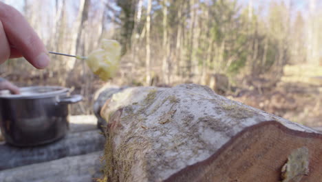 sealing plug spawn inoculation points on log with molten wax