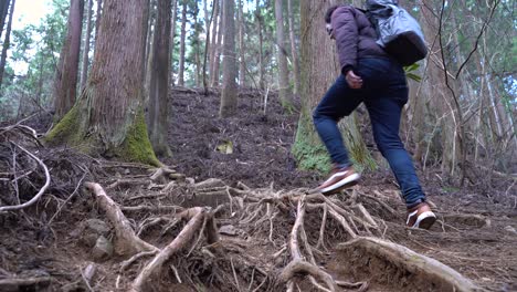 un joven excursionista caminando en una montaña llena de árboles con su mochila - plano amplio