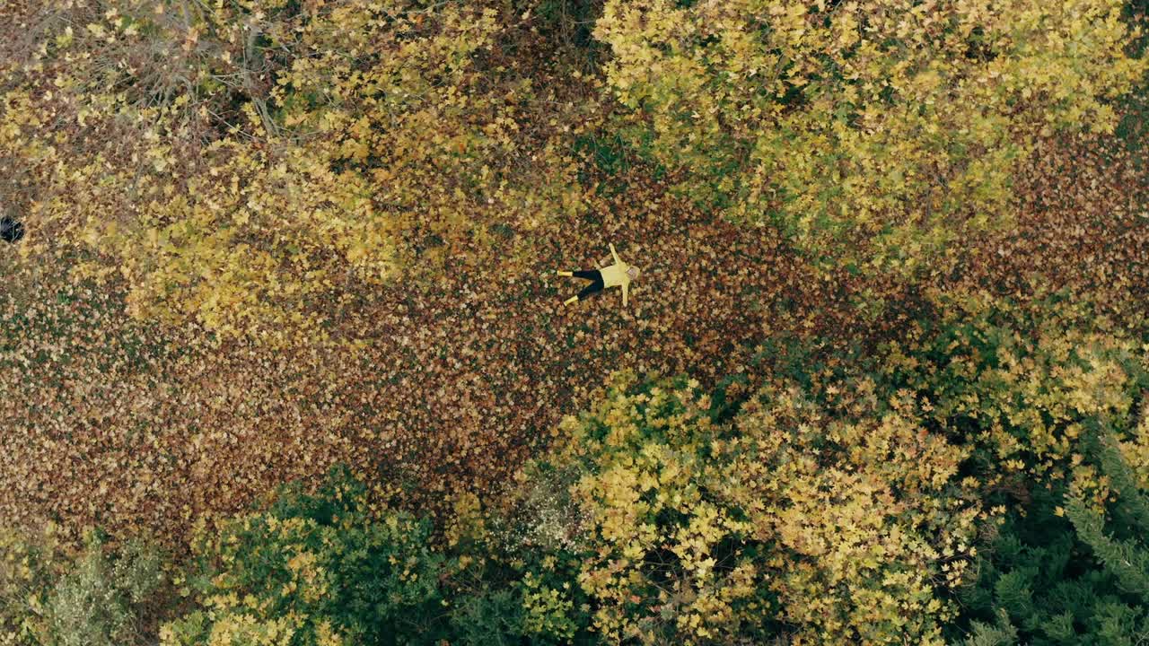 la chica yace en el brillante follaje de otoño, disparando desde un dron. concepto de otoño