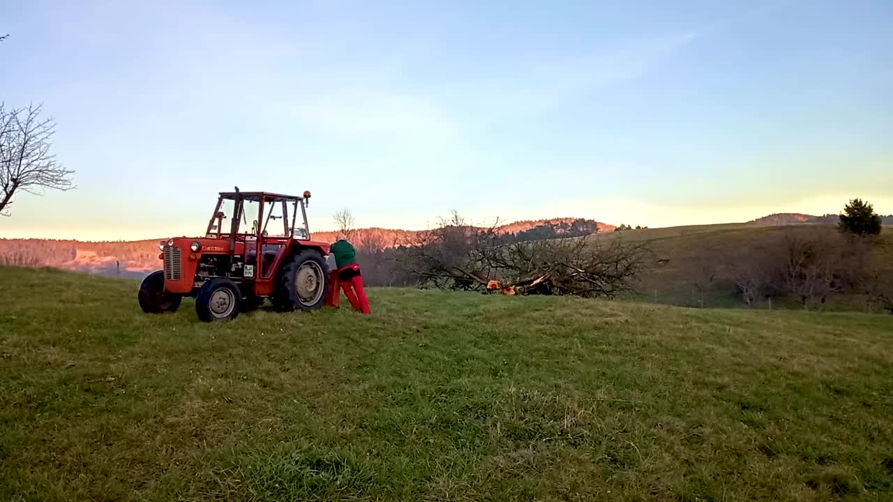 Person pulling big tree branches with small red tractor across green field. Far away shot with sky and landscape.