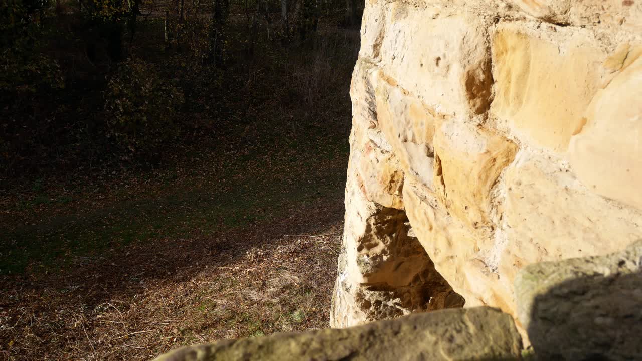 antigua abadía basingwerk edificio histórico abandonado muros de piedra hojas de otoño en el suelo dolly derecha