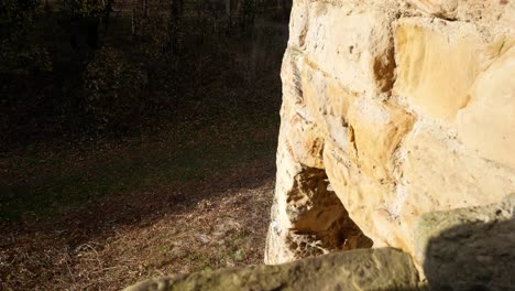 Ancient-Basingwerk-abbey-abandoned-historical-landmark-building-stone-walls-autumn-leaves-on-floor-dolly-right