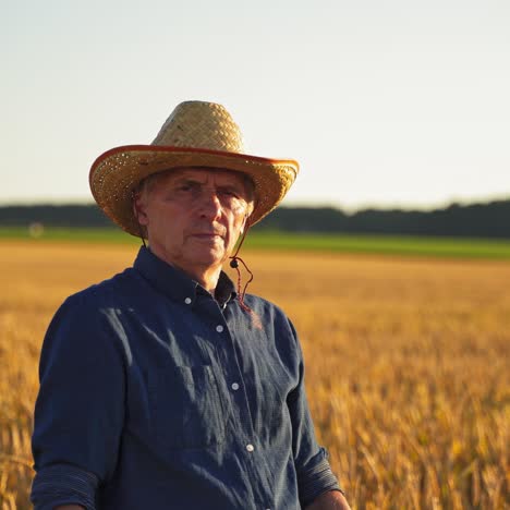 agronomist inspecting wheat field