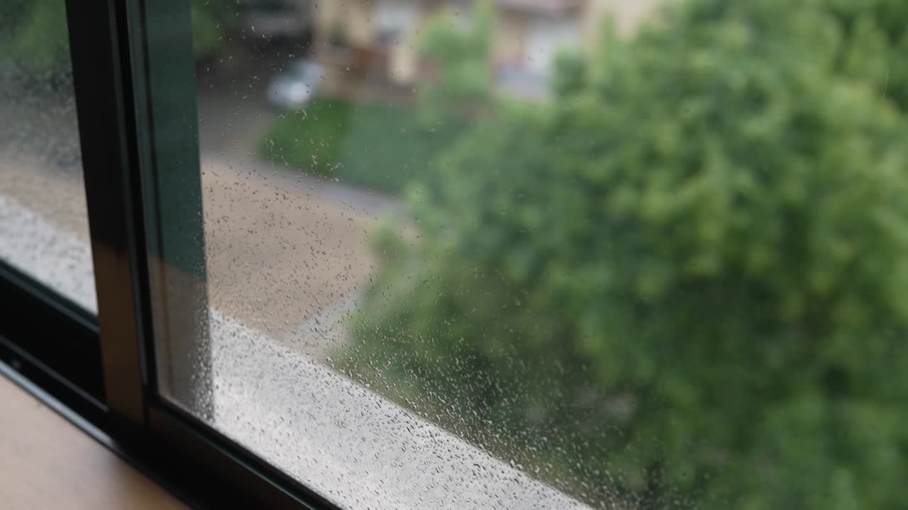 Raindrops on a window with blurred green trees in the background