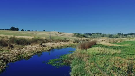 aerial view footage of a swamp lake river with green grass in a rural area of south africa