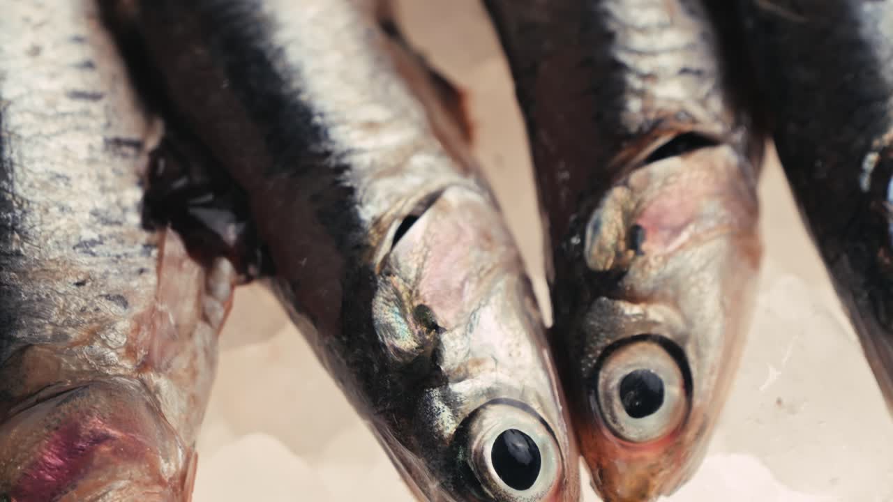 anchoas frescas en hielo