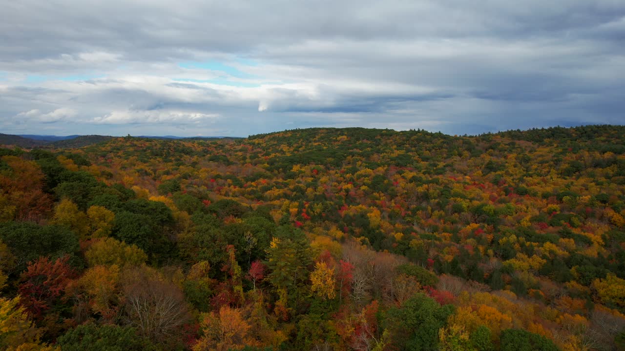 vista aérea de hojas genéricas de otoño en un día lluvioso en el oeste de massachusetts, ee.