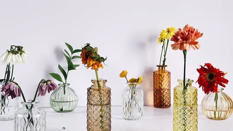 still life arrangement with dried flowers in vintage vases