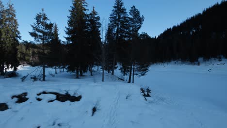 Luftaufnahme-Von-Bäumen-Auf-Der-Insel-Auf-Dem-Zugefrorenen-Caumasee-Im-Winter-Mit-Orbit-Dolly,-Um-Sonnige-Gebäude-Am-Seeufer-Freizulegen