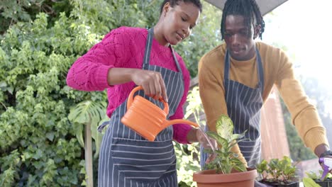 Happy-african-american-couple-in-aprons-planting-in-sunny-garden,-slow-motion