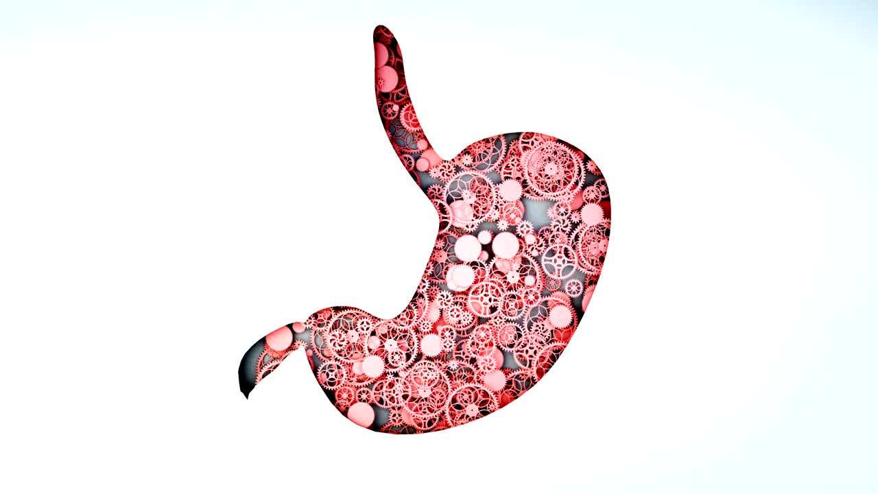 the bad stomach from gears. disease and pain concept. Realistic 4k flat animation.