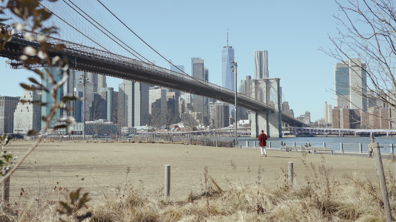 Brooklyn Bridge and NYC Skyline from a Park