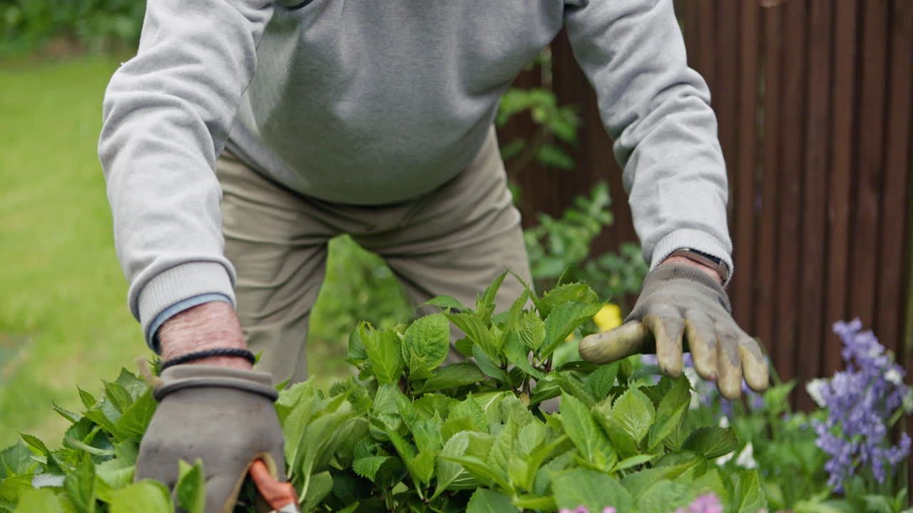 Senior man gardening