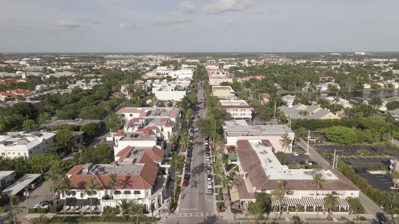 la antena sigue la tranquila quinta avenida bordeada de palmeras en la soleada nápoles, florida