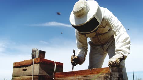 beekeeper harvesting honey